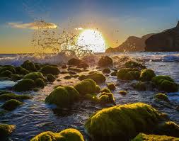 Paraisos Salvajes Monsul Nijar Sanjose Cabodegata Almeria Almeriatrending Andalugrafias Almerialovers Estaes Al Spain Holidays Spain Travel Andalusia