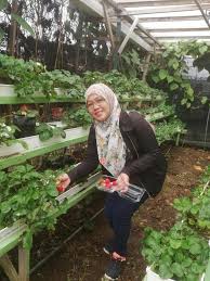 Book your tickets online for desa dairy farm, kundasang: Benptkjb W56cm