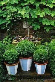 Boxwood Garden Containers Lawn And Garden Container Gardening