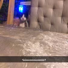 مطاعم نبع لبنان اليرموك 6 Tips From 164 Visitors