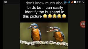 I'm very grateful to my brother for pointing this out to me 30 years ago when we were little. Best Husband Wife Jokes In Hindi And Urdu Very Very Very Jokes Husband Wife Jokes Video Dailymotion