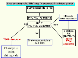 Le diagnostic et le traitement des traumatismes crâniens grave se font au même moment. Prise En Charge Du Traumatisme Cranien Grave Ppt Video Online Telecharger