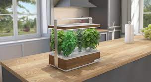 Maybe you would like to learn more about one of these? Jardin D Interieur Et Potagers D Interieur Mes Tests Et Comparatifs Produits