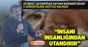 Zeybekci Den Seferihisar Daki Hayvan Barinagi Hakkinda Aciklama Egeyon Haber