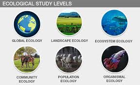 Click here to learn the concepts of ecology, organisms and its environment, habitat from biology. What Is Ecology Types Importance And Examples Of Ecology