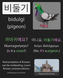 How to say duck in spanish? Korean Word For Pigeon ë¹„ë'˜ê¸° Learn Korean Korean Language Learning Korean Words