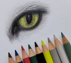 111 9 cat drawing animal. Pencil Drawing Cat Eyes Drawing Color Pencil Art Drawings