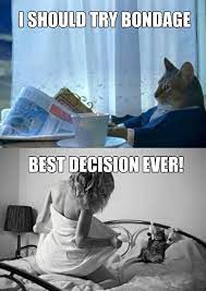Image 678377 I Should Buy A Boat Cat Know Your Meme