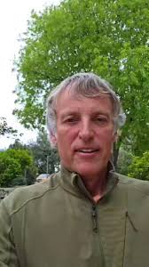 @JesusCalleja's video Tweet