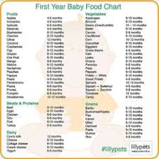 23 Best Baby Food Recipes Stage 1 Images Baby Food Recipes