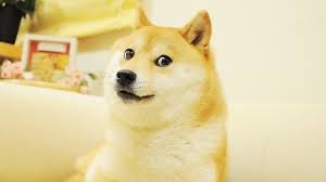 Oct 24, 2015 · meme. 28 Doge Meme Wallpapers Wallpaperboat
