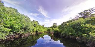 The agency stated fires are rare in the amazon region for much of the year, as its wet weather keeps blazes at. Treks Amazon Basin Brazil