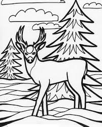 Kleurplaat de ark van noach. Deer Coloring Pages Free Novocom Top
