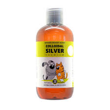 Using colloidal silver for cats in conjunction with an antibiotic or other medication prescribed by your vet might seem like an ideal way to speed up healing, but don't do it. Colloidal Silver For Pets Delivered By Healthful Pets