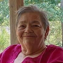 Judy Diane Shue Richards Obituary