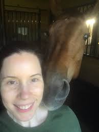 Morning routine with horse care and riding