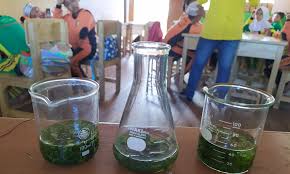 Eksperimen sains bukan hanya perlu dijalankan di makmal. Asyiknya Eksperimen Sains Di Sd Islam Creative Banjarbaru Kanal Kalimantan