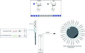 The identification mark shall be acid etched, sand blasted, ceramic fired, laser etched, embossed or of a type that, once applied, cannot be removed without being destroyed. Design And Enhanced Gene Silencing Activity Of Spherical 2 Fluoroarabinose Nucleic Acids Fana Snas Chemical Science Rsc Publishing