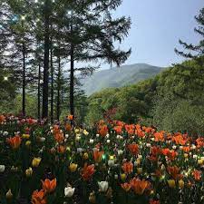 Check spelling or type a new query. Being Honest How Many Hours Do You Guys Think You Spend On Your Phone Everyday Nature Photography Nature Landscape
