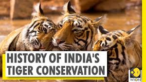 Maybe you would like to learn more about one of these? International Tiger Day 2020 India S Story Of Successful Conservation Of Top Carnivorous Big Cats Youtube