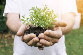 Alam sekitar masa kini semakin tercemar. Enatura Yuk Melestarikan Alam Kita