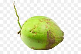 Pasalnya, jumlah air per butir buah ini. Kolase Kelapa Nata De Coco Buah Kelapa Koleksi Kelapa Coklat Makanan Fotografi Png Pngwing