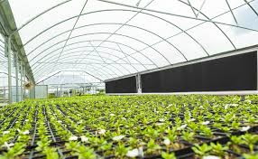 Evaporative Cooling Applications for Greenhouses.