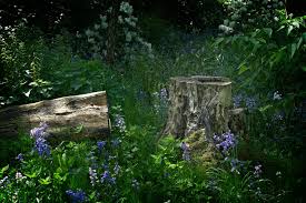 Um einen baumstumpf samt der baumwurzeln sicher zu entfernen, benötigt man eine stubbenfräse oder wurzelfräse. 14 Ideen Um Baumstumpfe Im Garten Zu Gestalten Geniale Tricks