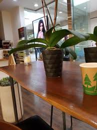 Please note, these hours will be adjusted daily. Escape Salon Aveda 29 Photos 154 Reviews Hair Salons 800 Boylston St Back Bay Boston Ma Phone Number