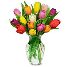Shop flowers at proflowers and send flowers cheap with the best value and freshness. 15 Rainbow Tulips Bouquet At Send Flowers