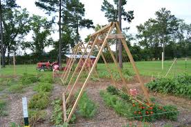 See more ideas about garden trellis, trellis, outdoor gardens. How To Build An A Frame Garden Trellis The Beginner S Garden