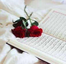 As You Read The Al Qur An Look For Yourself After All You Will Find What Is Meant By You And You Will Find What Benefits You And Contain Gambar Bunga Mawar