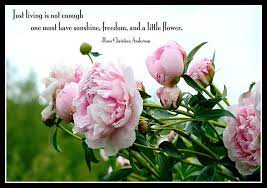 Check spelling or type a new query. Quotes About Beauty And Flowers 57 Quotes
