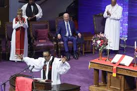 Image result for Bidens schimperi