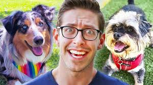 Maybe you would like to learn more about one of these? Keith Puppysits The Try Guys Dogs Youtube