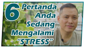 Cara lain untuk hilangkan stress atau mengelakkan stress ialah sentiasa mengutamakan keperluan penting dan berhenti berlengah. 6 Cara Mengatasi Stress Anda Youtube