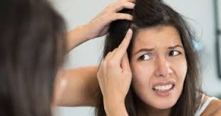 اضرار قشرة الرأس وكيفية علاجها اليوم السابع