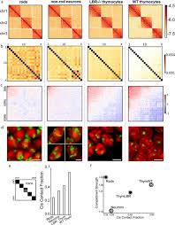 Zero hour skirmish ai scripts. Quantitative Analysis Of Territories A Hi C Contact Maps For Download Scientific Diagram