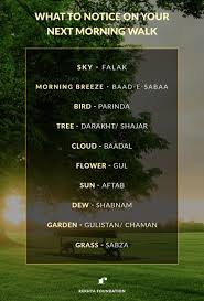 What To Notice On Your Next Morning Walk Urdu Love Words Hindi Words Language Urdu