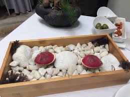 Image result for Montia