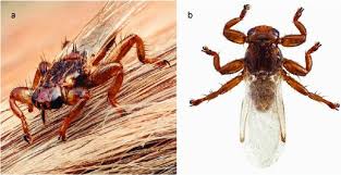 Check spelling or type a new query. Eurekalert Science News Releases