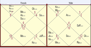 Astrology Vedic Science