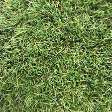 Not sponsored and fully paid for by ourselves. Tuff Turf 1 8m X 35mm Natural Tuff Synthetic Turf Per Linear Metre
