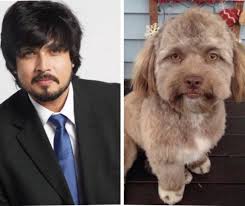 Chirag Patil (@IamChiragpatil)