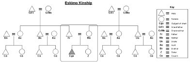 kinship chart maker sada margarethaydon com