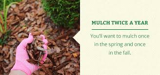 Mulch ties together the look of different parts of your landscape. Maintaining Mulch Year Round Patuxent Nursery