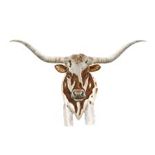 #thefreeandco #home #longhorn #americana #southwest #home decor #roe. Texas Longhorn Steer Painting Cattle Farm Decor Tiny Toes Design