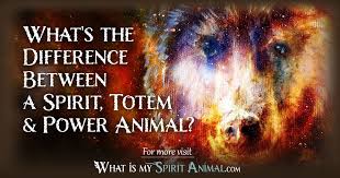 Who is your tiki spirit? What Is A Spirit Animal Spirit Animal Vs Totem Animal Vs Power Animal