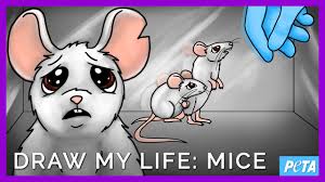 What happened to these kids at zoo is soooo hilarious! Draw My Life Laboratory Mice Youtube