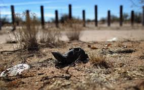 Image result for death in desert